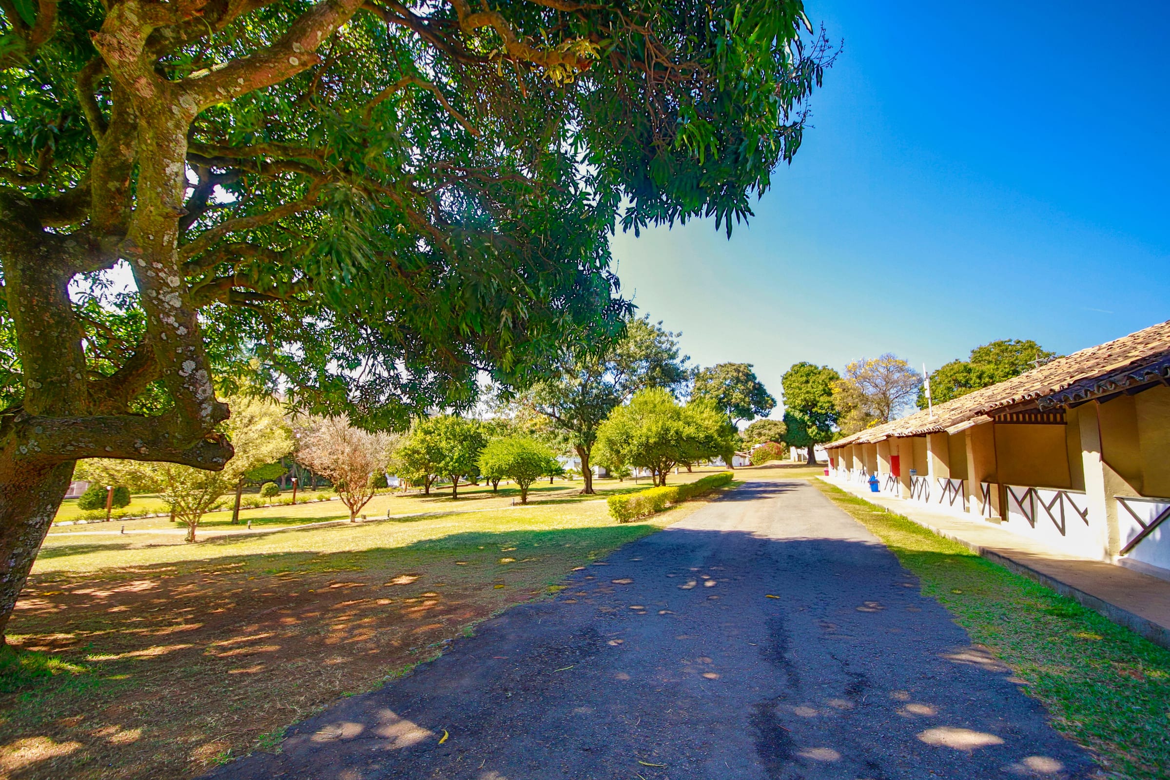 Suíte Standard - Vista interna